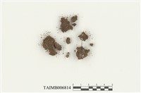 藏品(牆苔屬)的圖片